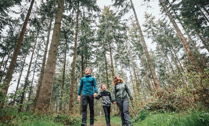 Walking at Pool Park, Clocaenog Forest
